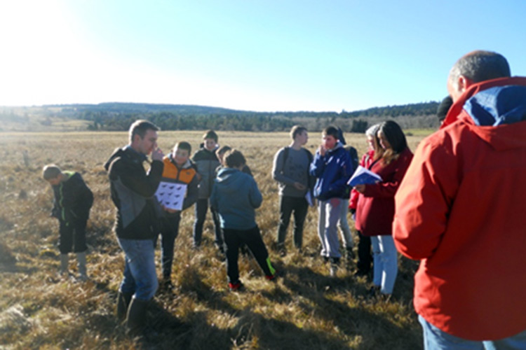 sortie-araules-section