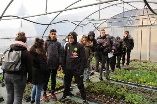 visite-gaec-1001-fleurs-2017