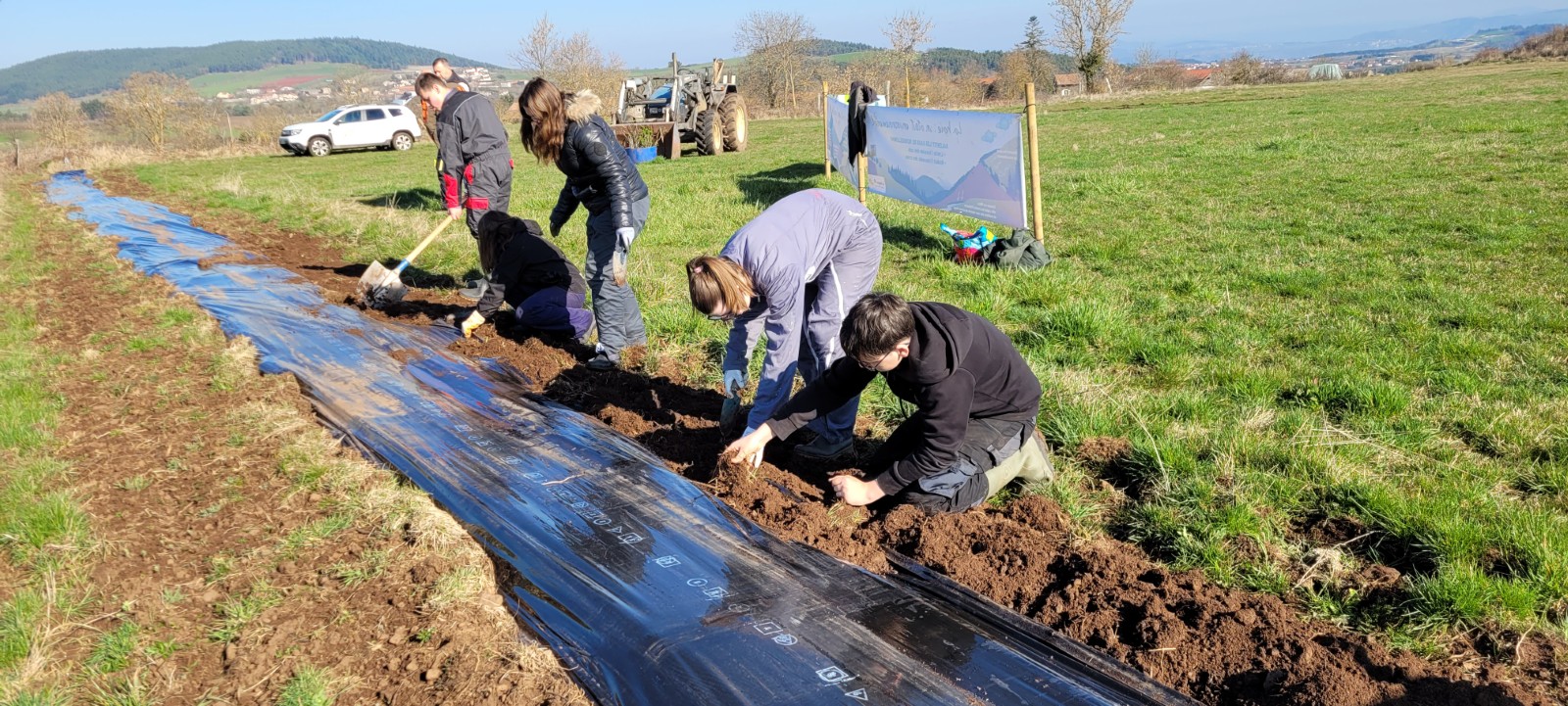 Plantation de haie 2026