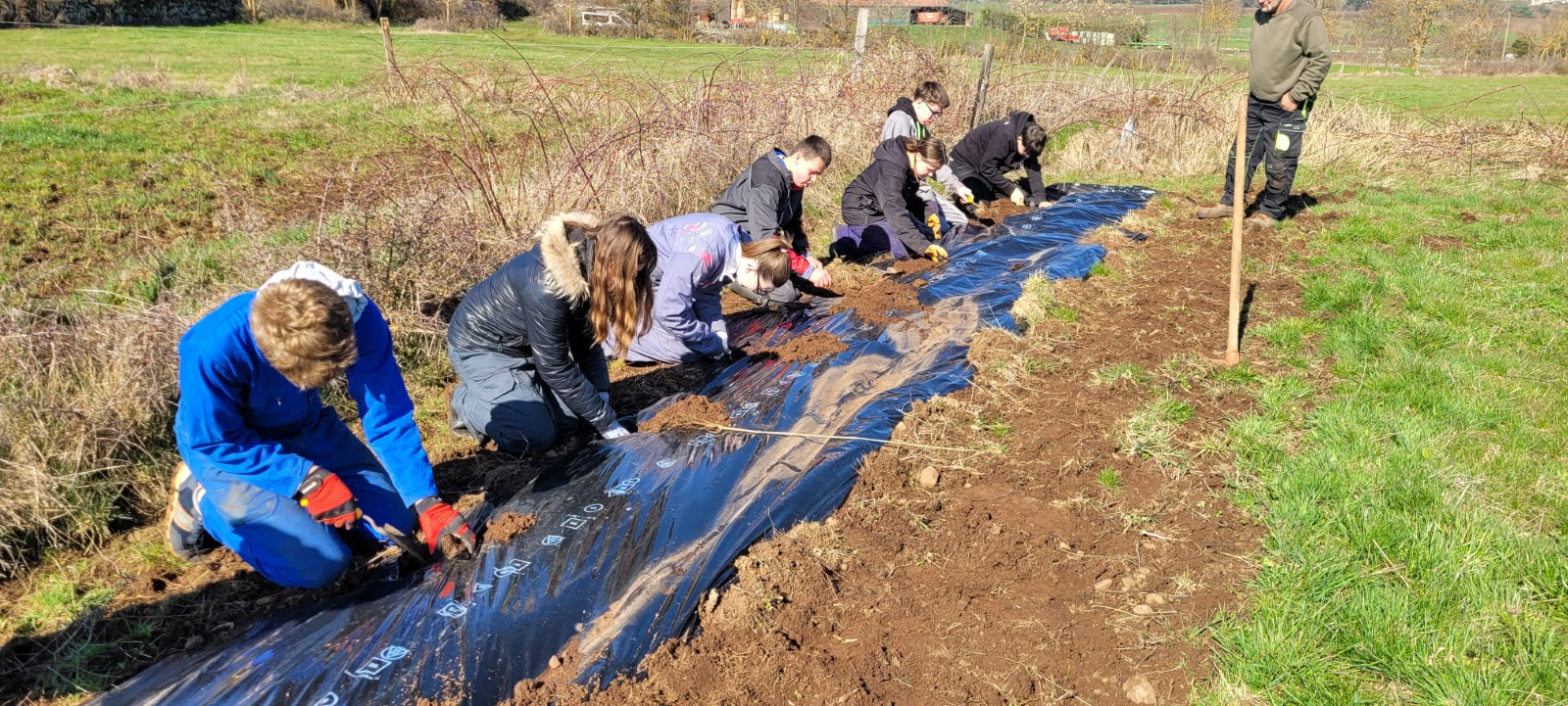 Plantation de haie 2026