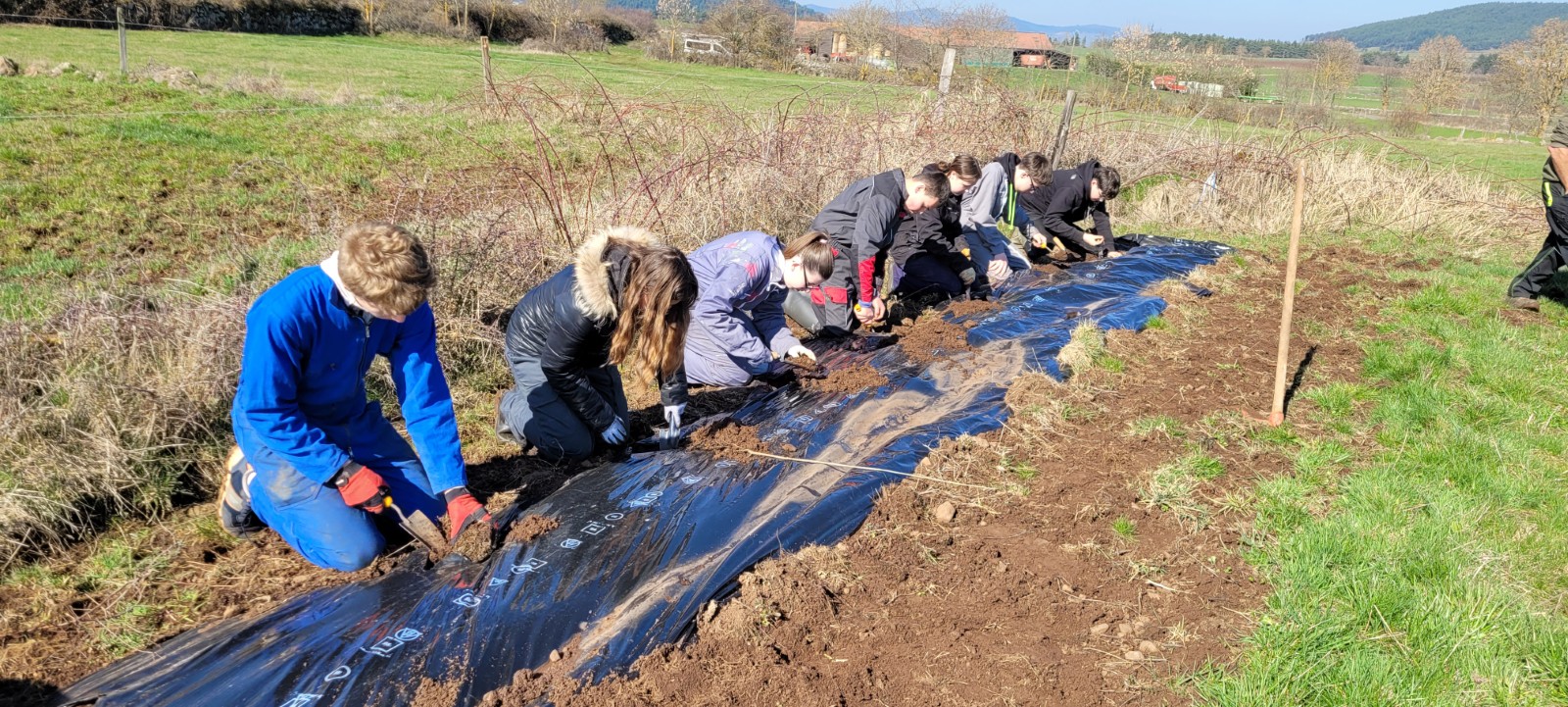 Plantation de haie 2026