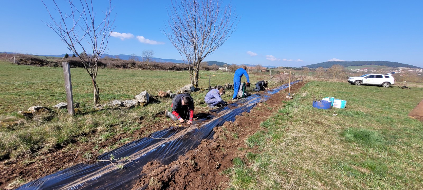 Plantation de haie 2026