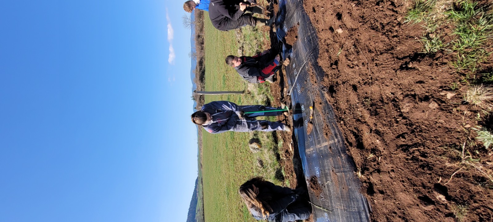 Plantation de haie 2026