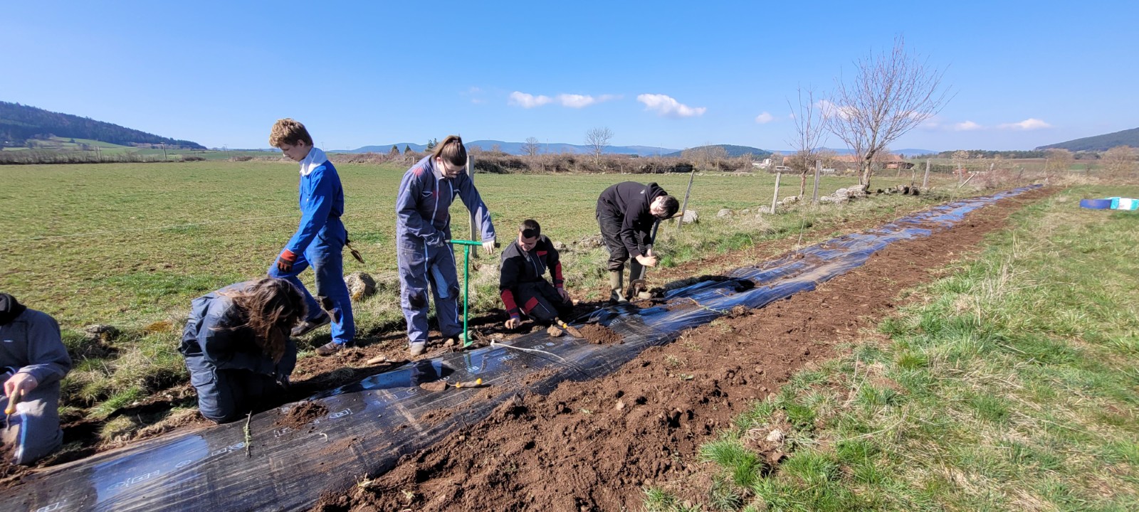 Plantation de haie 2026