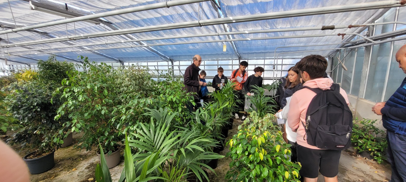 Visite des serres du Monteil 2026