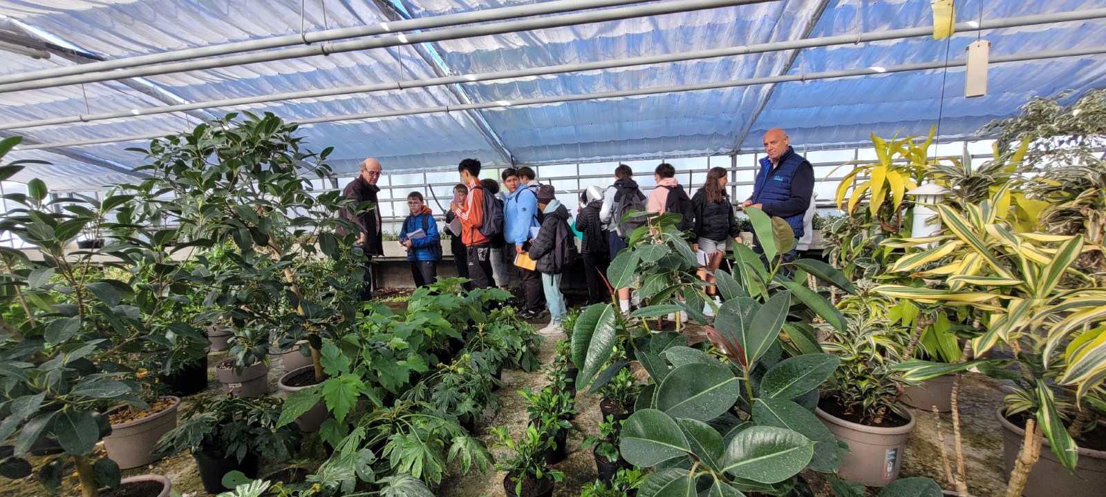 Visite des serres du Monteil 2026